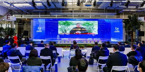 京津冀运河文化旅游城市合作组织 以文化艺术交流为纽带，共绘协同发展新画卷