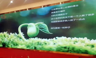 以刀为笔，以玉载道 福建省宝协玉石雕刻专业委员会艺术公益之路